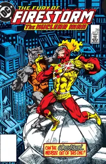 Cover of The Fury of Firestorm #39
