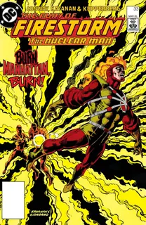 Cover of The Fury of Firestorm #33