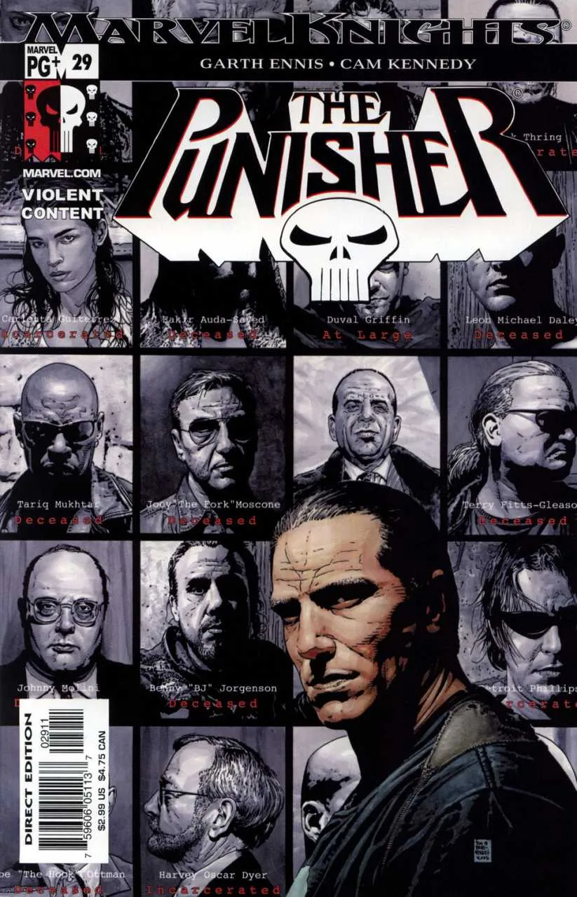 Cover of The Punisher #29