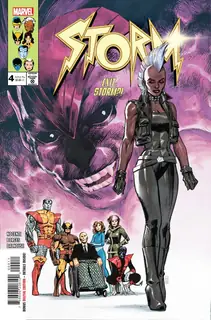 Cover of Storm #4