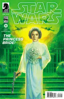 Cover of Star Wars #15