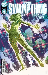 Cover of The Swamp Thing #15