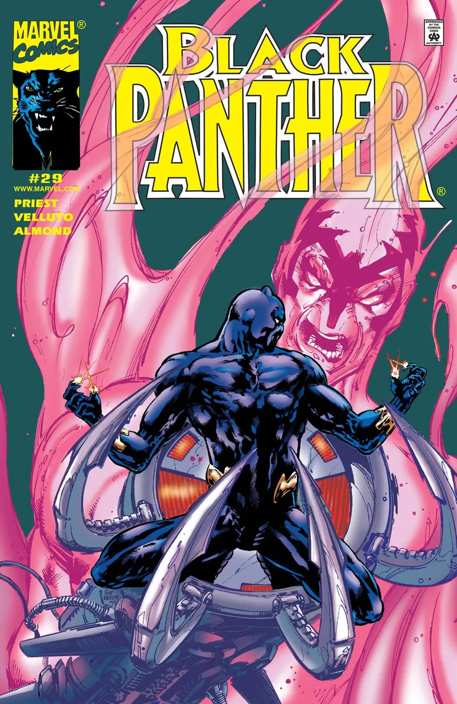 Cover of Black Panther #29