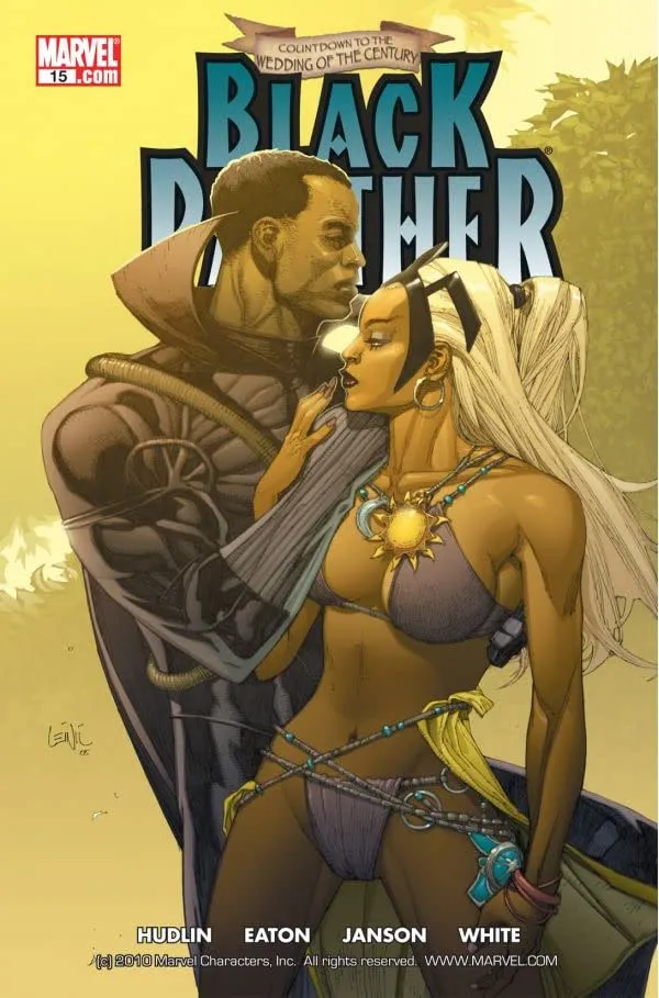Cover of Black Panther #15