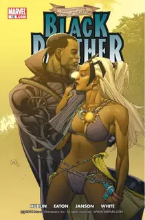 Cover of Black Panther #15