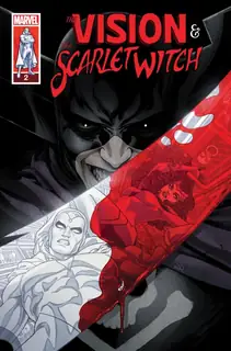 Cover of The Vision & the Scarlet Witch #2