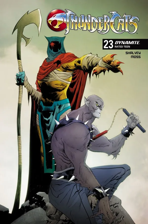 Cover of ThunderCats #23