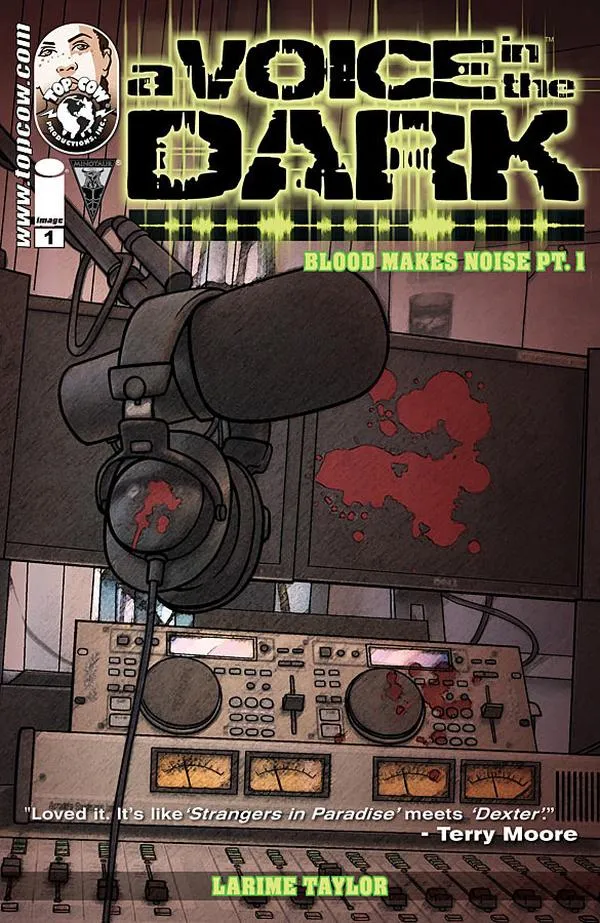 Cover of A Voice in the Dark #1