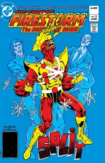 Cover of The Fury of Firestorm #13