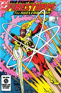 Cover of The Fury of Firestorm #30