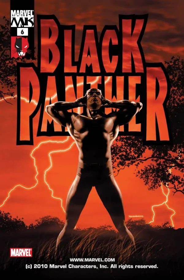 Cover of Black Panther #6