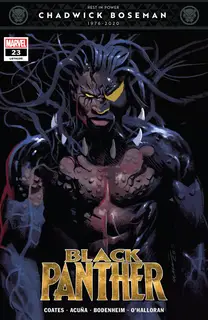 Cover of Black Panther #23 (195)