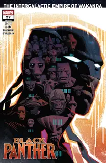 Cover of Black Panther #22 (194)