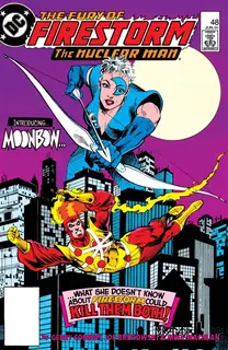 Cover of The Fury of Firestorm #48