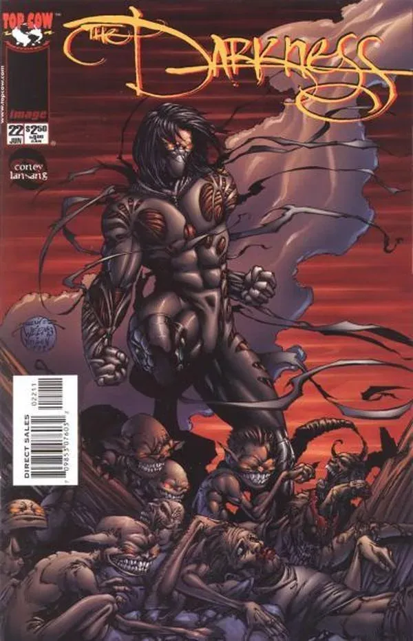 Cover of The Darkness #22