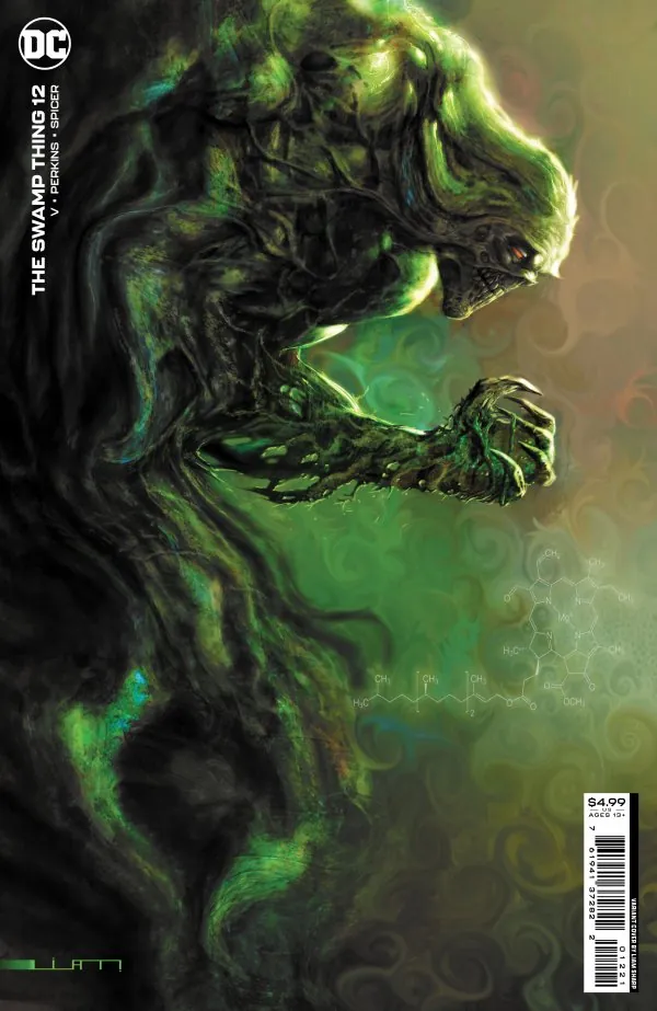 Cover of The Swamp Thing #12