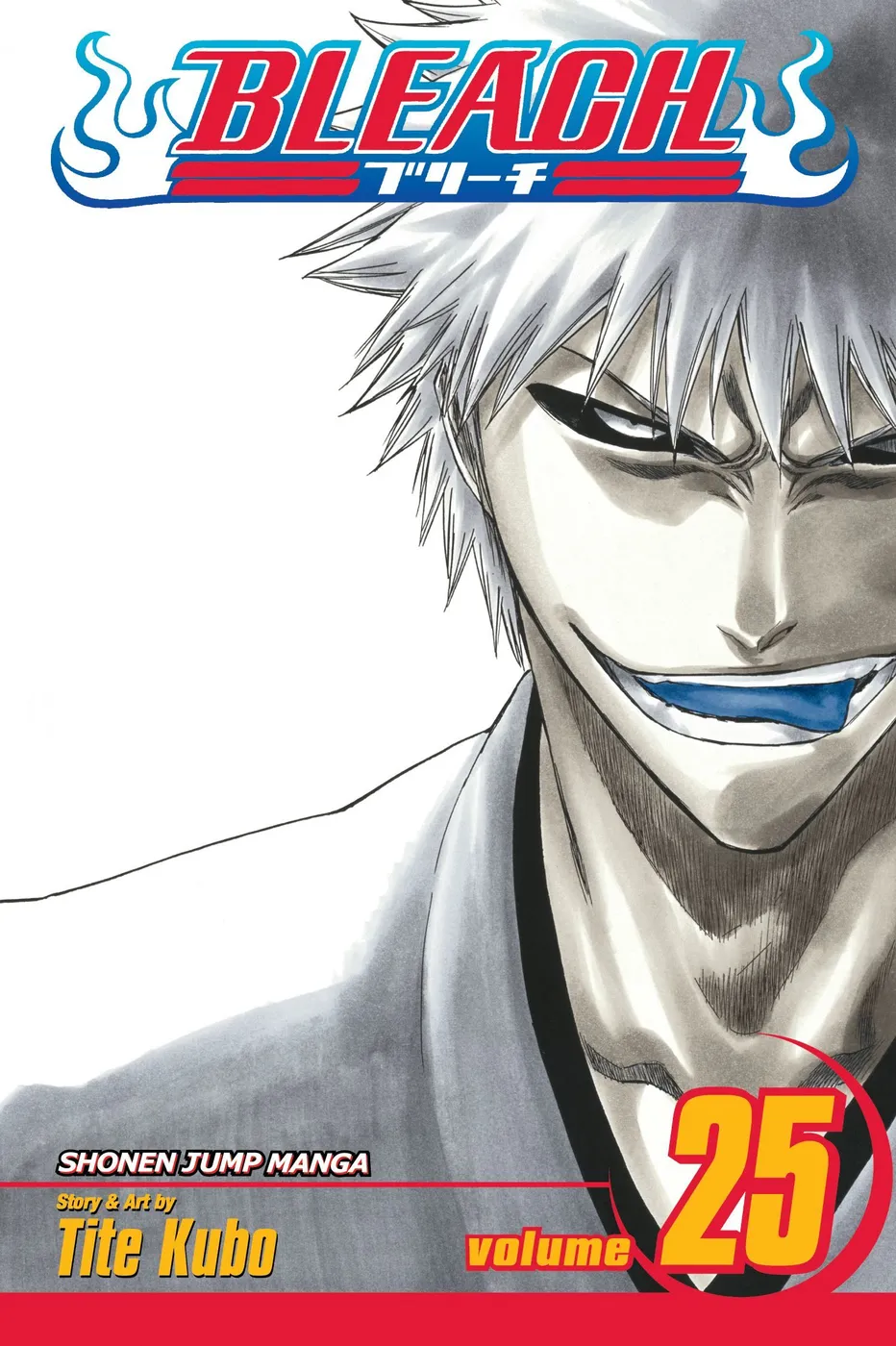 Cover of Bleach #25
