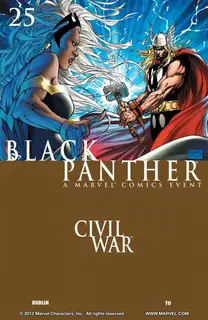 Cover of Black Panther #25