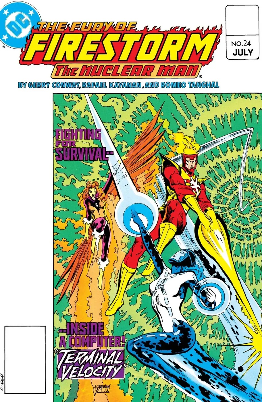 Cover of The Fury of Firestorm #24