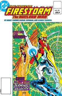 Cover of The Fury of Firestorm #24