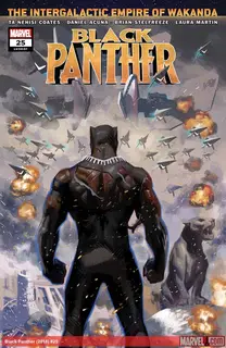 Cover of Black Panther #25 (197)