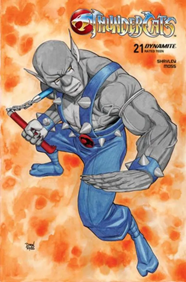 Cover of ThunderCats #21