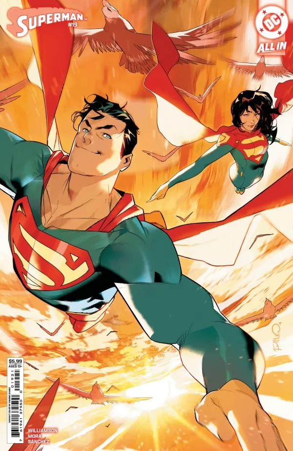 Cover of Superman #19