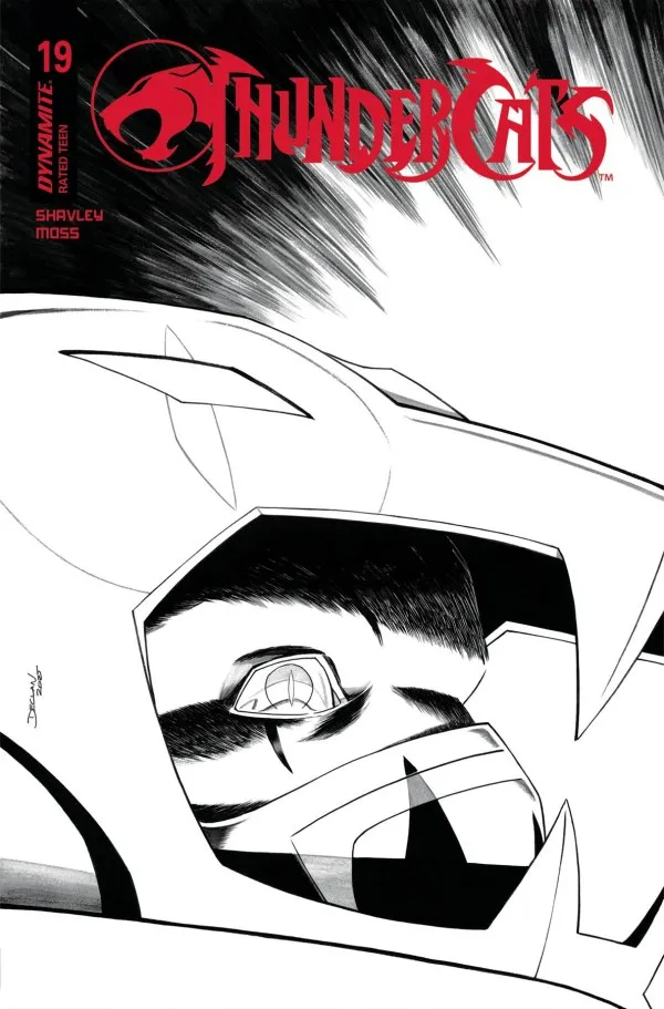 Cover of ThunderCats #19