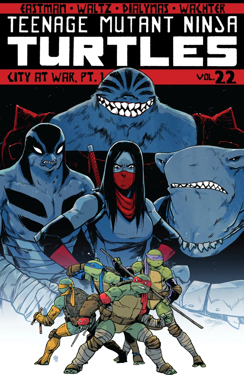 Cover of Teenage Mutant Ninja Turtles #22