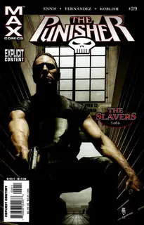 Cover of Punisher #29