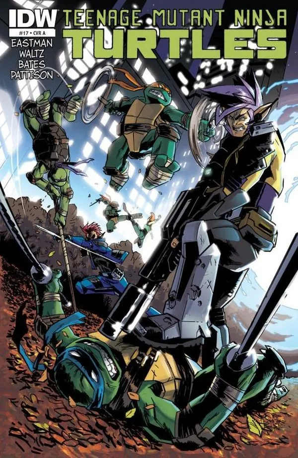 Cover of Teenage Mutant Ninja Turtles #17