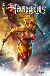 Cover of ThunderCats #22
