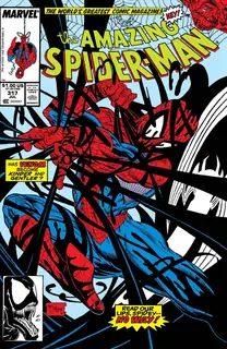 Cover of The Amazing Spider-Man #317
