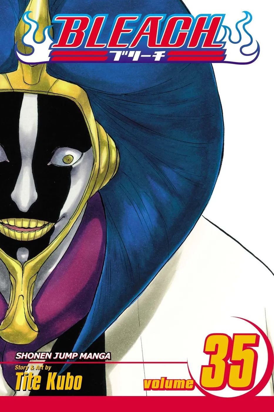Cover of Bleach #35