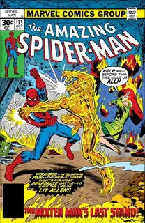 Cover of The Amazing Spider-Man #173