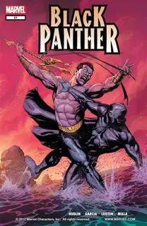 Cover of Black Panther #21