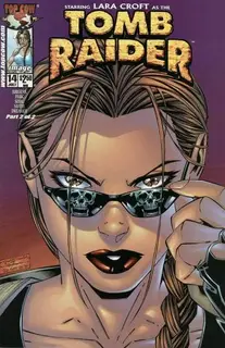 Cover of Tomb Raider: The Series #14