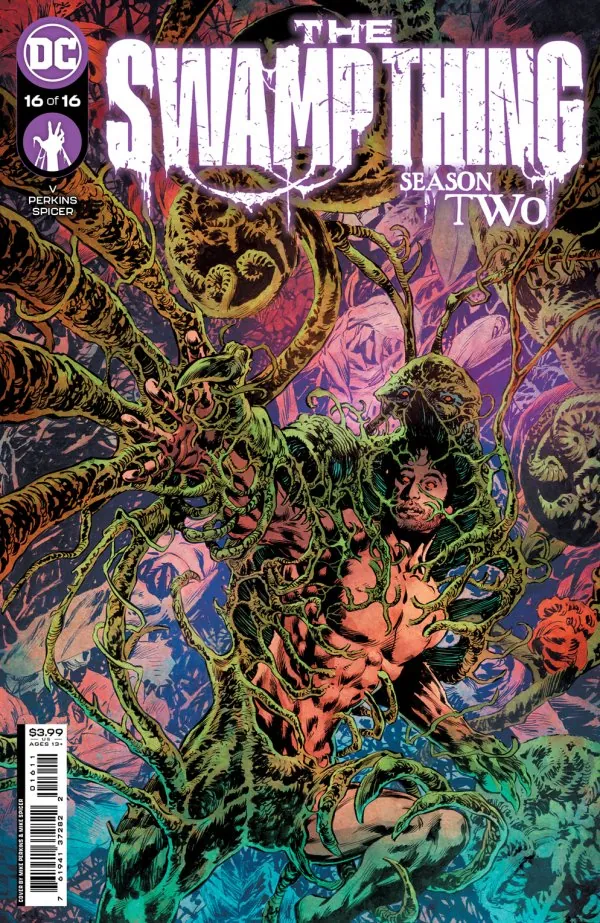 Cover of The Swamp Thing #16
