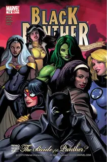 Cover of Black Panther #14
