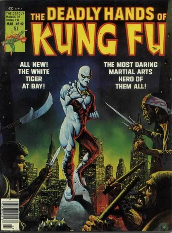 Cover of The Deadly Hands of Kung Fu #22