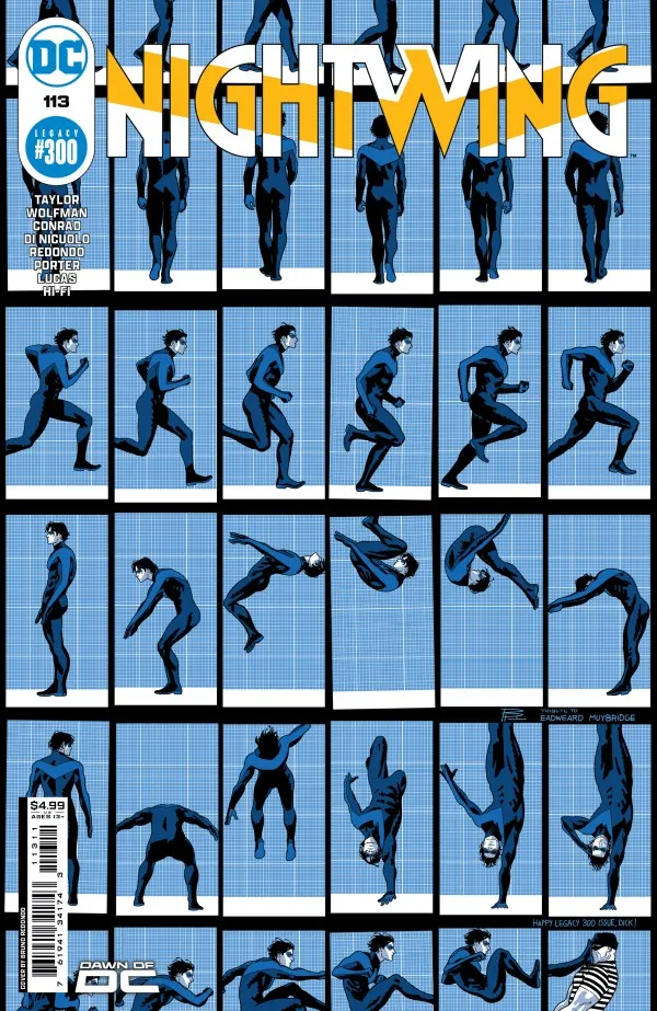 Cover of Nightwing #113 (300)