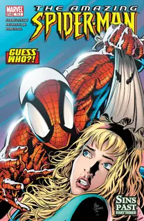 Cover of The Amazing Spider-Man #511