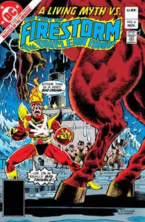Cover of The Fury of Firestorm #6
