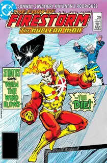 Cover of The Fury of Firestorm #29