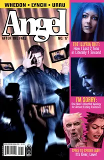 Cover of Angel: After the Fall #17