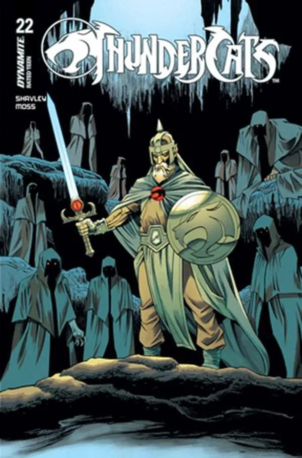 Cover of ThunderCats #22