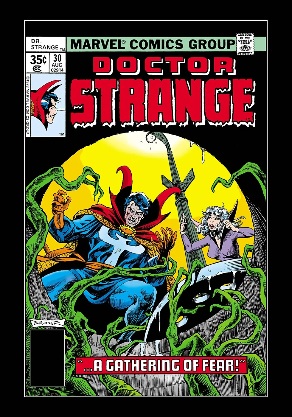 Cover of Doctor Strange #30