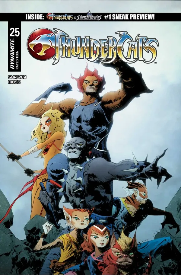 Cover of ThunderCats #25