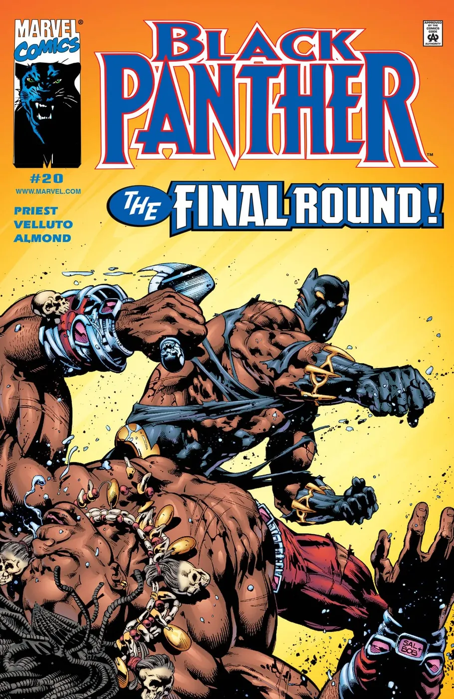 Cover of Black Panther #20
