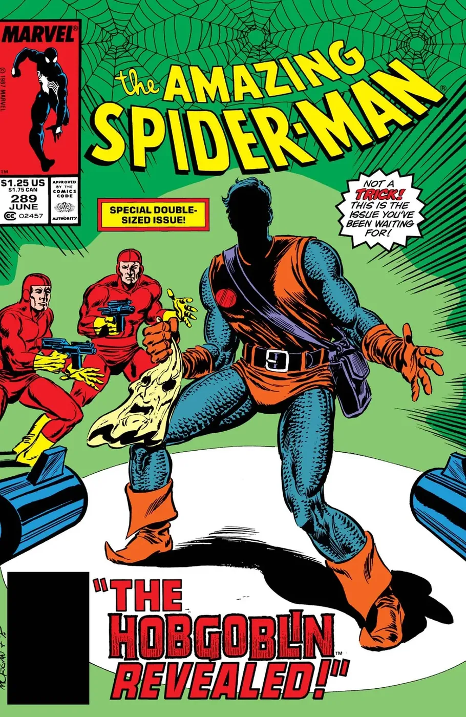 Cover of The Amazing Spider-Man #289